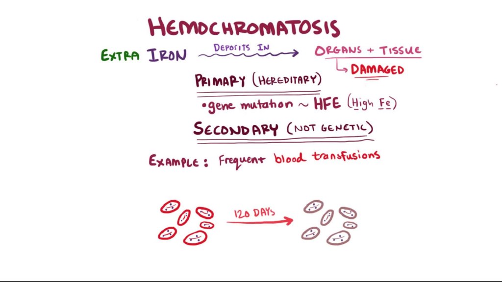schéma Hemochromatosis